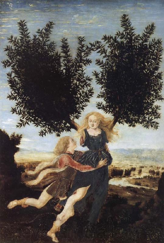 Antonio Pollaiuolo Apollo and Daphne Norge oil painting art
